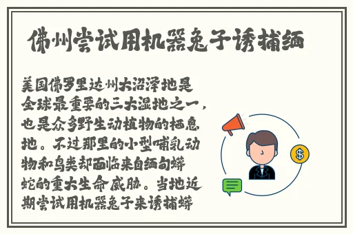 我把美女日出了白将视频